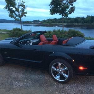 Meet your Posher, Ginette